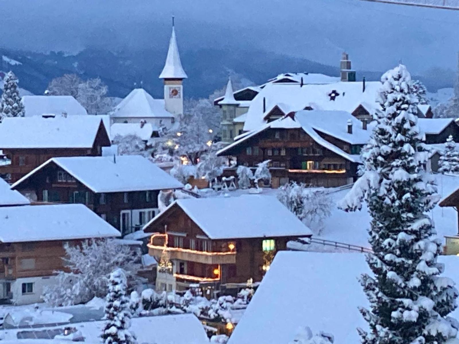 Chalet Egglen "Typical Swiss House, Best Views, Private Jacuzzi" Sigriswil Exterior foto